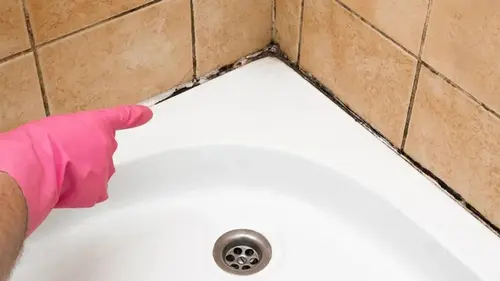 Как избавиться от черной плесени, грибка на герметике в ванной: чем очистить за несколько простых шагов