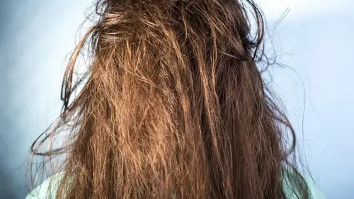 Передозировка белка: почему восстанавливающая косметика делает волосы ломкими