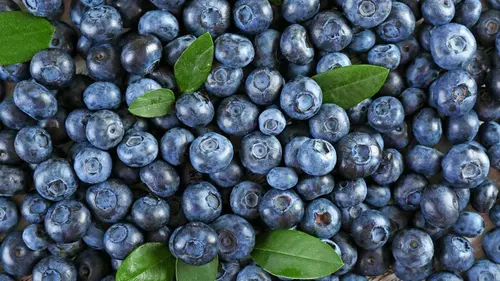 Булочки с черникой будут в разы вкуснее, если добавить щепотку этой специи