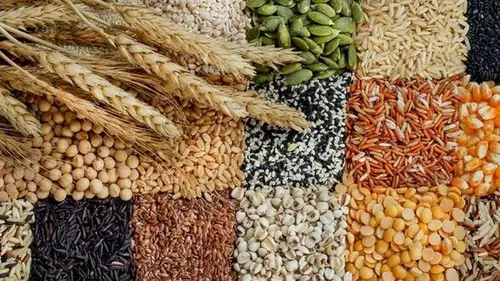 Не только овес и пшеница: ТОП-7 цельнозерновых продуктов для снижения уровня холестерина