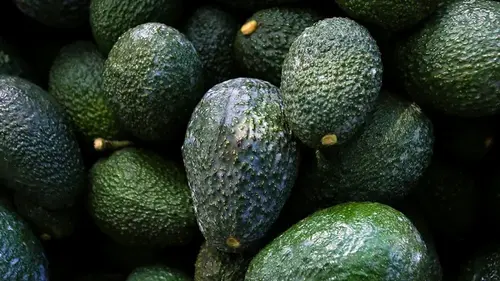 Полезных жиров больше, чем в авокадо: 8 продуктов, которые стоит включить в рацион